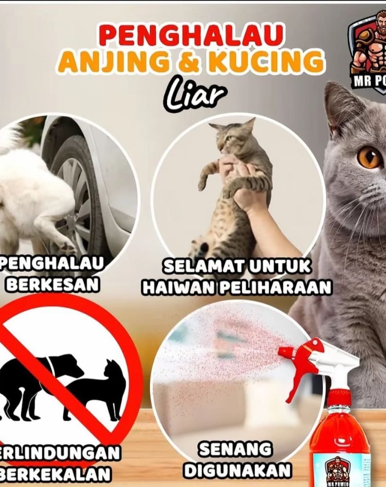 WhatsApp Image 2026-04-24 at 12.20.35 (1)